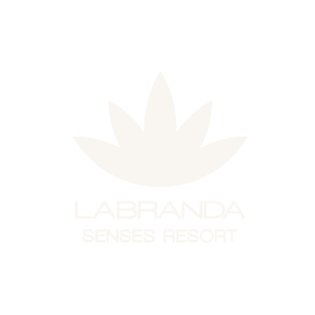Portfolio client