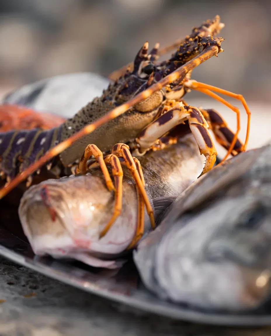 Fish Feast